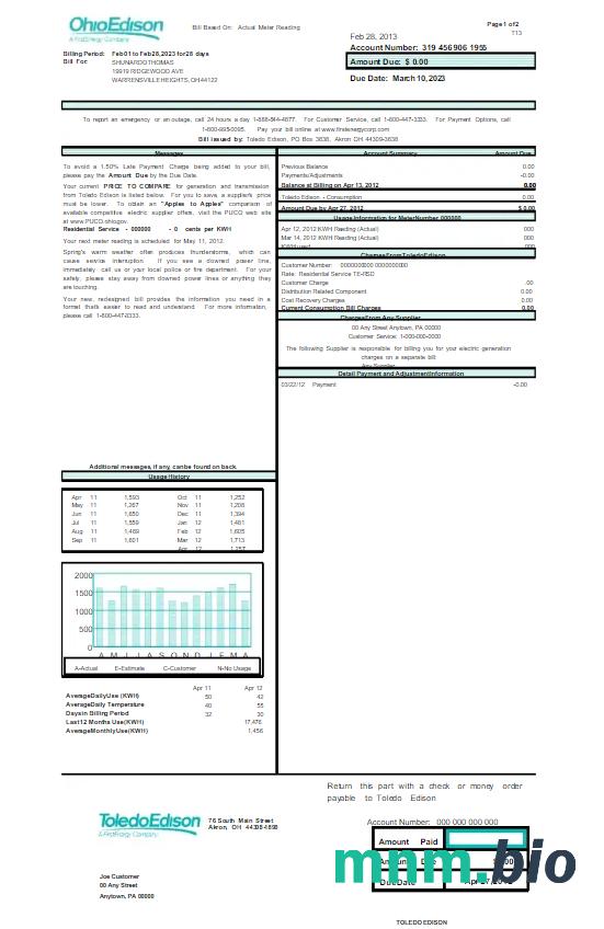 USA OHIO EDISON rachunek za media słowo i szablon PDF